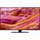 Телевизор Samsung QE55QN90FAUXUA - фото 1