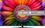 Телевизор LG 55UR8100 - фото 1