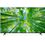 Телевизор LG 86UQ8000 - фото 1