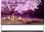 Телевизор LG OLED88Z19LA - фото 1