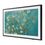 Телевизор Samsung QE55LS03BG 2023 - фото 2