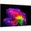 Телевізор LG OLED55G6 - фото 2