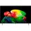 Телевизор LG OLED77B6 Europe - фото 1