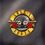 Виниловый диск Guns N' Roses - Greatest Hits LPSET (712479) - фото 1