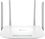 Бездротовий маршрутизатор TP-Link EC220-G5 - фото 1