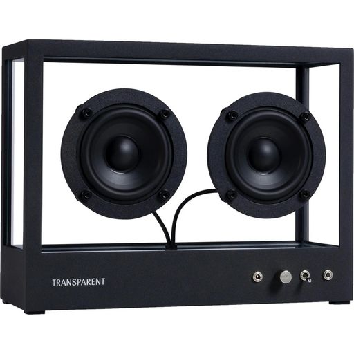 Акустическая система Transparent Small Speaker STS-B Black (EU)