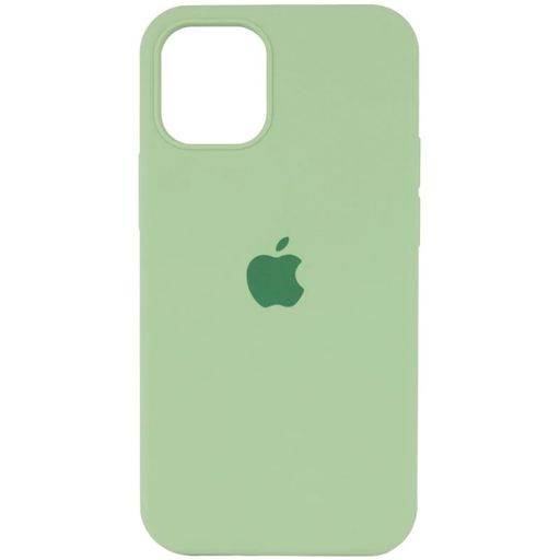 Чохол Silicone Case Full Protective (AA) для Apple iPhone 16 Pro Max (6.9") (М'ятний / Mint)