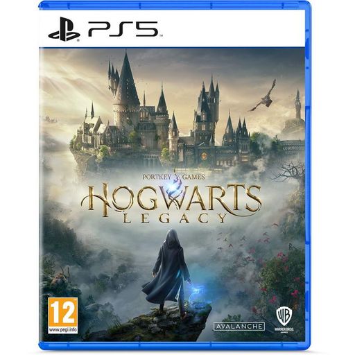 Гра для Sony Playstation 5 Hogwarts Legacy PS5 (5051895413425)