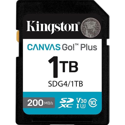 Карта пам'яті SDXC (UHS-1 U3) Kingston Canvas Go! Plus 1Tb class 10 A2 V30 (R200MB/s, W160MB/s) (SDG4/1TB)