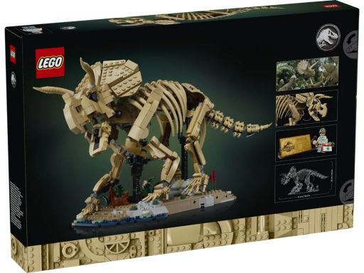 Конструктор LEGO Jurassic World Скам'янілості динозаврів: трицератопс (77985)