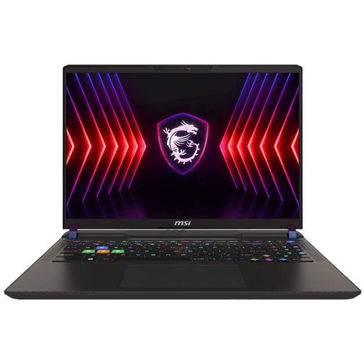 Ноутбук MSI Vector 16 HX A14VHG (A14VIG-693US) Cosmo Gray 96/2TB CUSTOM