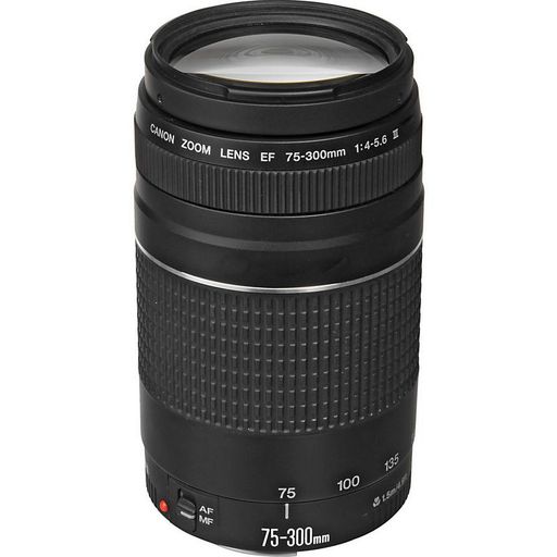 Об'єктив Canon EF 75-300mm f/4.0-5.6 III (6473A015)