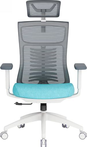 Офисное кресло OfficePro Balance OC550-W-DG-BL