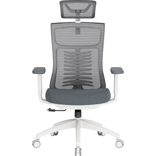Офісне крісло OfficePro Balance OC550-W-DG-DG White/Dark Gray