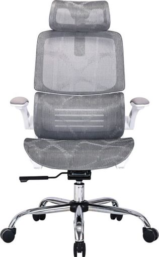 Офісне крісло OfficePro Verto OC570G