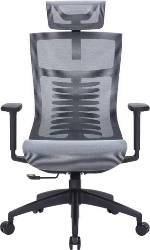 Офісне крісло OfficePro Balance OC620-B-DG-DG