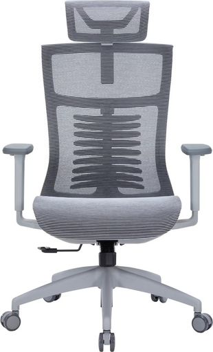 Офисное кресло OfficePro Balance OC620-G-DG-DG
