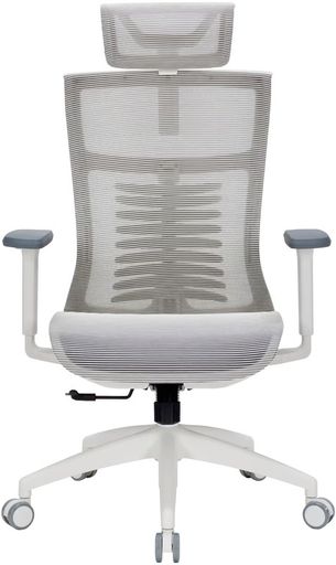Офісне крісло OfficePro Balance OC620-W-LG-LG