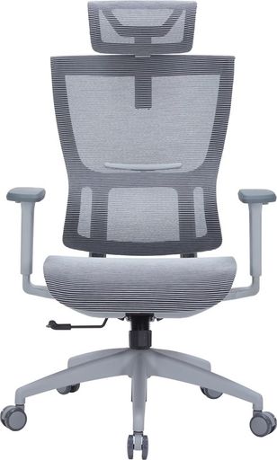 Офісне крісло OfficePro Elegant OC660-G-DG-DG
