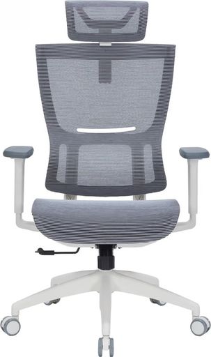 Офісне крісло OfficePro Elegant OC660-W-DG-DG
