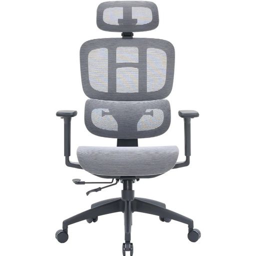 Офісне крісло OfficePro Skyline OC680-B-G-G