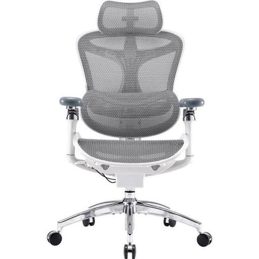 Офісне крісло Sihoo DORO C300 Pro Mesh White (DORO-C300-PRO-M102)