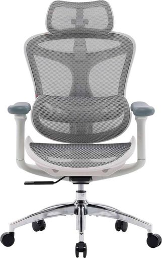 Офисное кресло Sihoo DORO C300L Mesh White (DORO-C300L-A3-102)