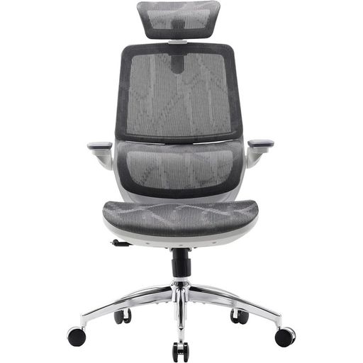Офісне крісло Sihoo M59AS Mesh Gray (M59AS-M301)