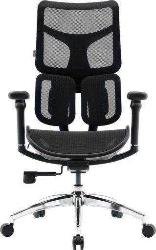 Офисное кресло Sihoo DORO S100 Mesh Black (S100-M301)