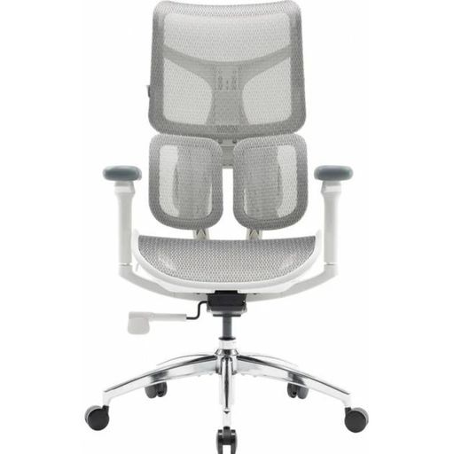 Офисное кресло Sihoo DORO S100 Mesh White (S100-M302)