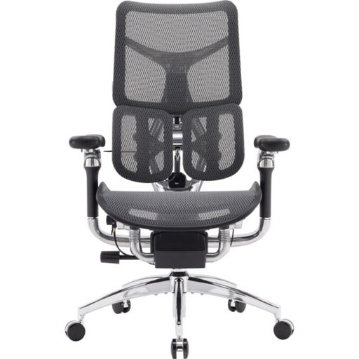 Офисное кресло Sihoo DORO S300 Mesh Dark Grey (S300-M201)