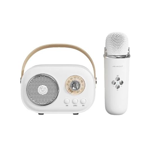 Портативная колонка с микрофоном Smart X C20W