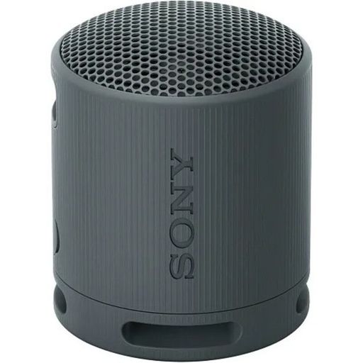 Портативная колонка Sony SRS-XB100 Black (SRSXB100B)