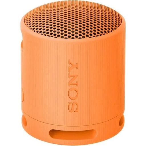 Портативная колонка Sony SRS-XB100 Orange (SRSXB100D)