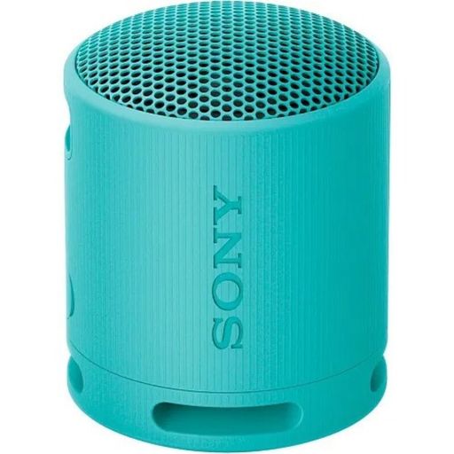 Портативная колонка Sony SRS-XB100 Blue (SRSXB100L.CE7)