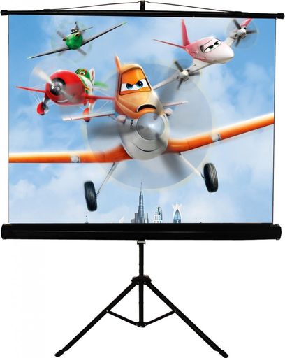 Экран мобильный с треногой Walfix 120" SNT-4 (180*240, 4:3)