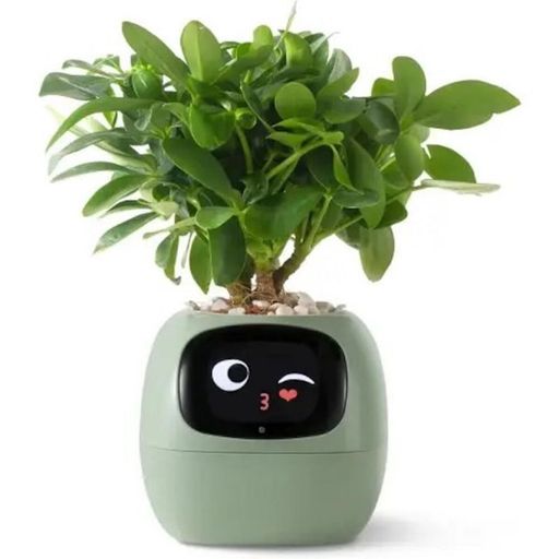 Интерактивный умный горшок для растений Ivy Smart Planter Tuya AI, Green (ISPTAG)