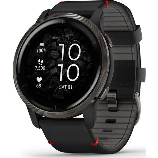 Смарт-часы Garmin Venu 2 Slate with Black Leather Band (010-02430-21)