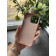 Чехол iPhone 12 Pro Max K-DOO Noble collection /pink + стекло в подарок! - фото 3