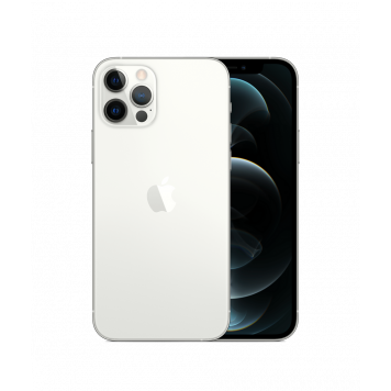 Apple iPhone 12 Pro Max 256GB Silver (MGC53) Dual Sim - фото 1